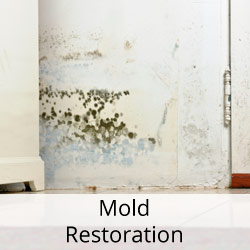 Mold Restoration